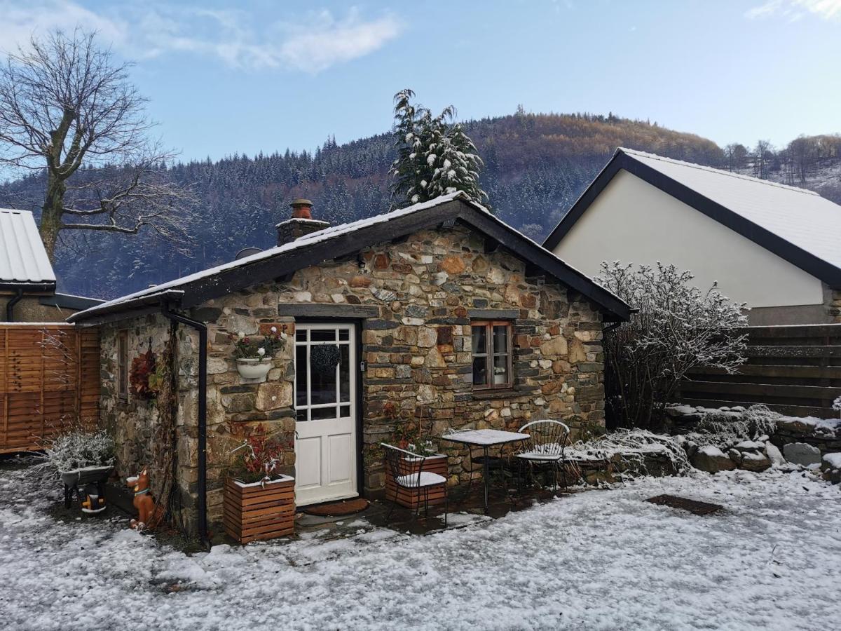 Dolweunydd Bed And Breakfast Betws-y-Coed Eksteriør bilde