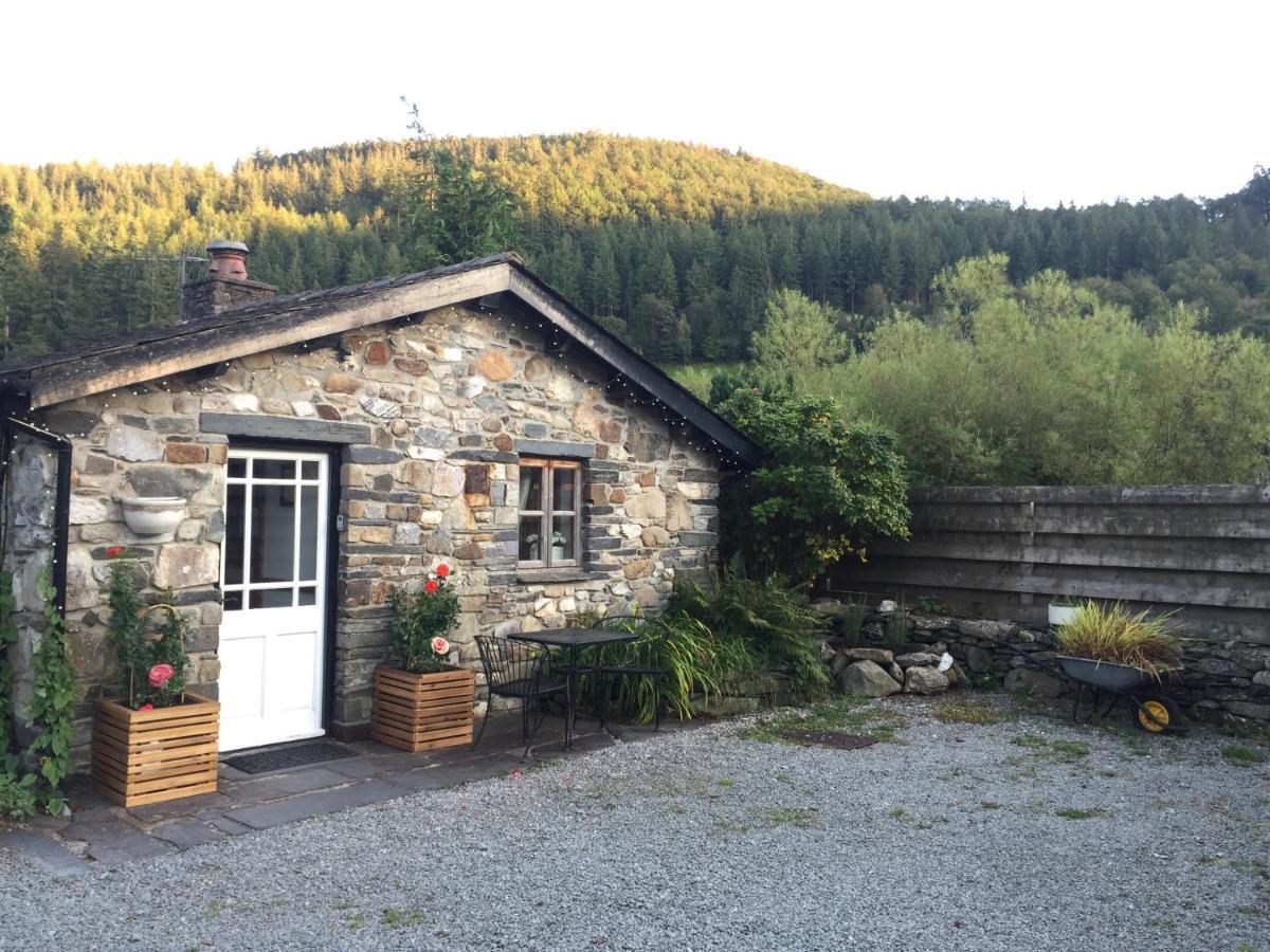 Dolweunydd Bed And Breakfast Betws-y-Coed Eksteriør bilde